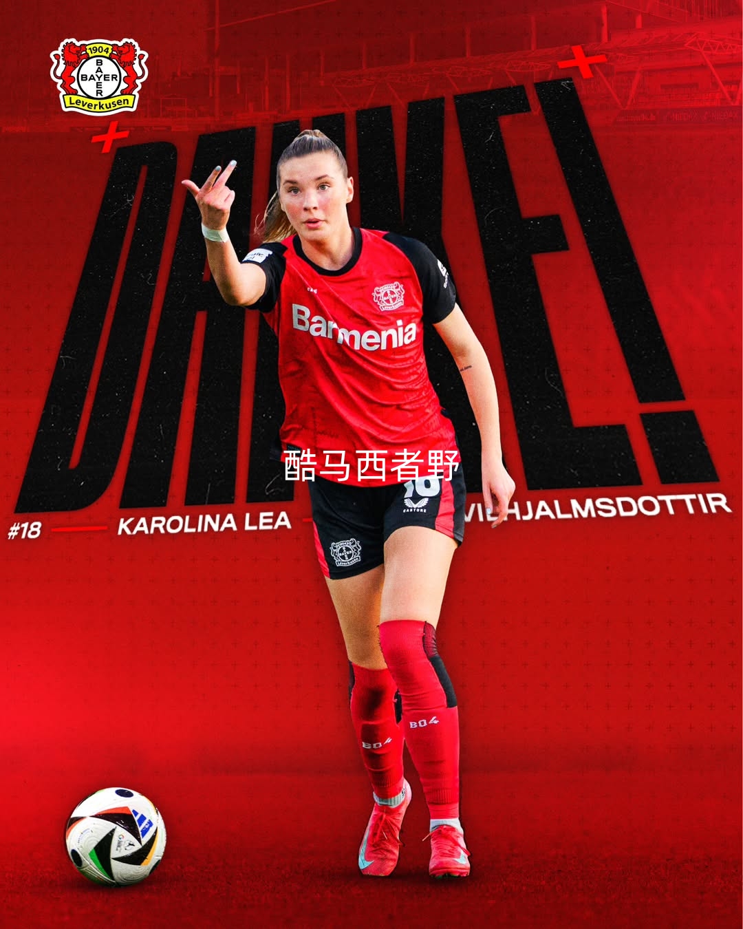 勒沃库森德国杯表现